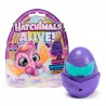 Hatchimals Arcobaleno neon in un solo pacchetto