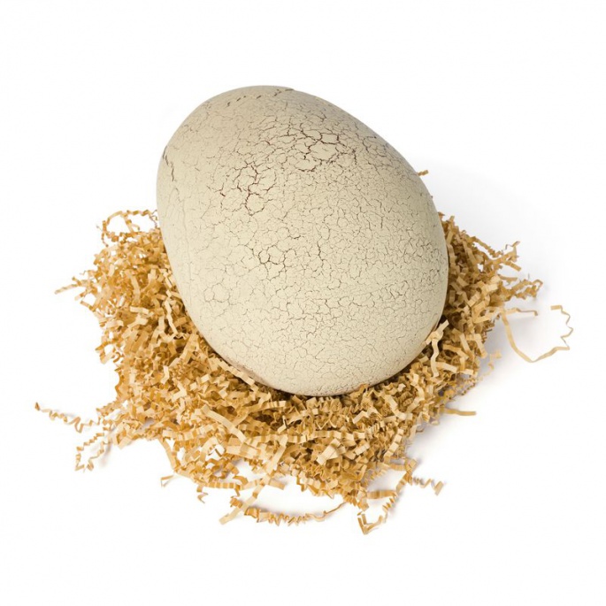 Set conveniente: Dino interattivo T-rex che si schiude dall'uovo + Bitzee mondo giurassico con dinosauri