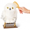 Harry Potter gufo interattivo Hedwig