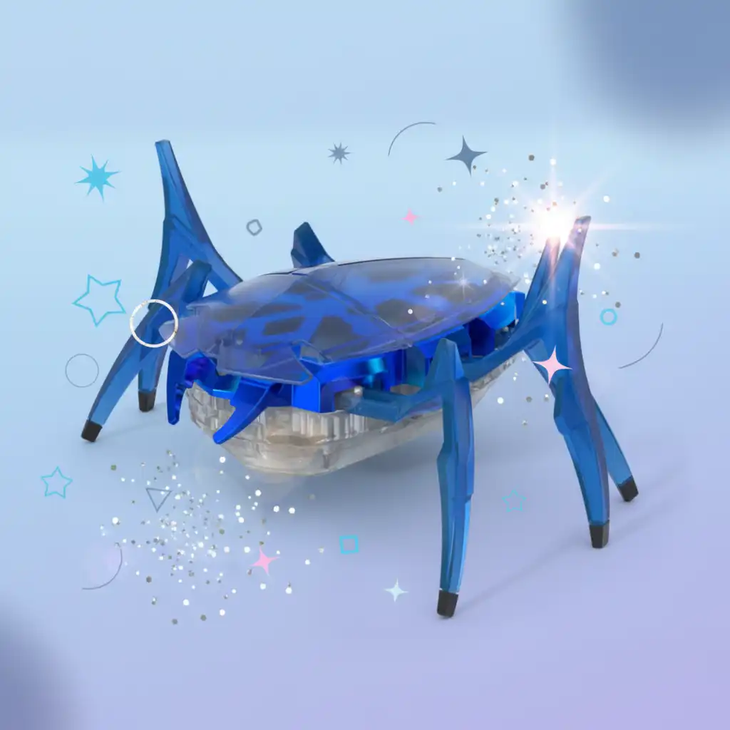 Crea il tuo percorso robotico e metti alla prova i sensi dello scarabeo.