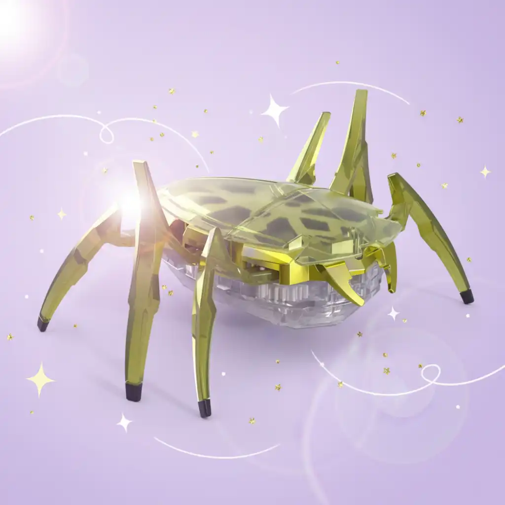 Interazione viva tra il bambino e il suo nuovo compagno robotico.